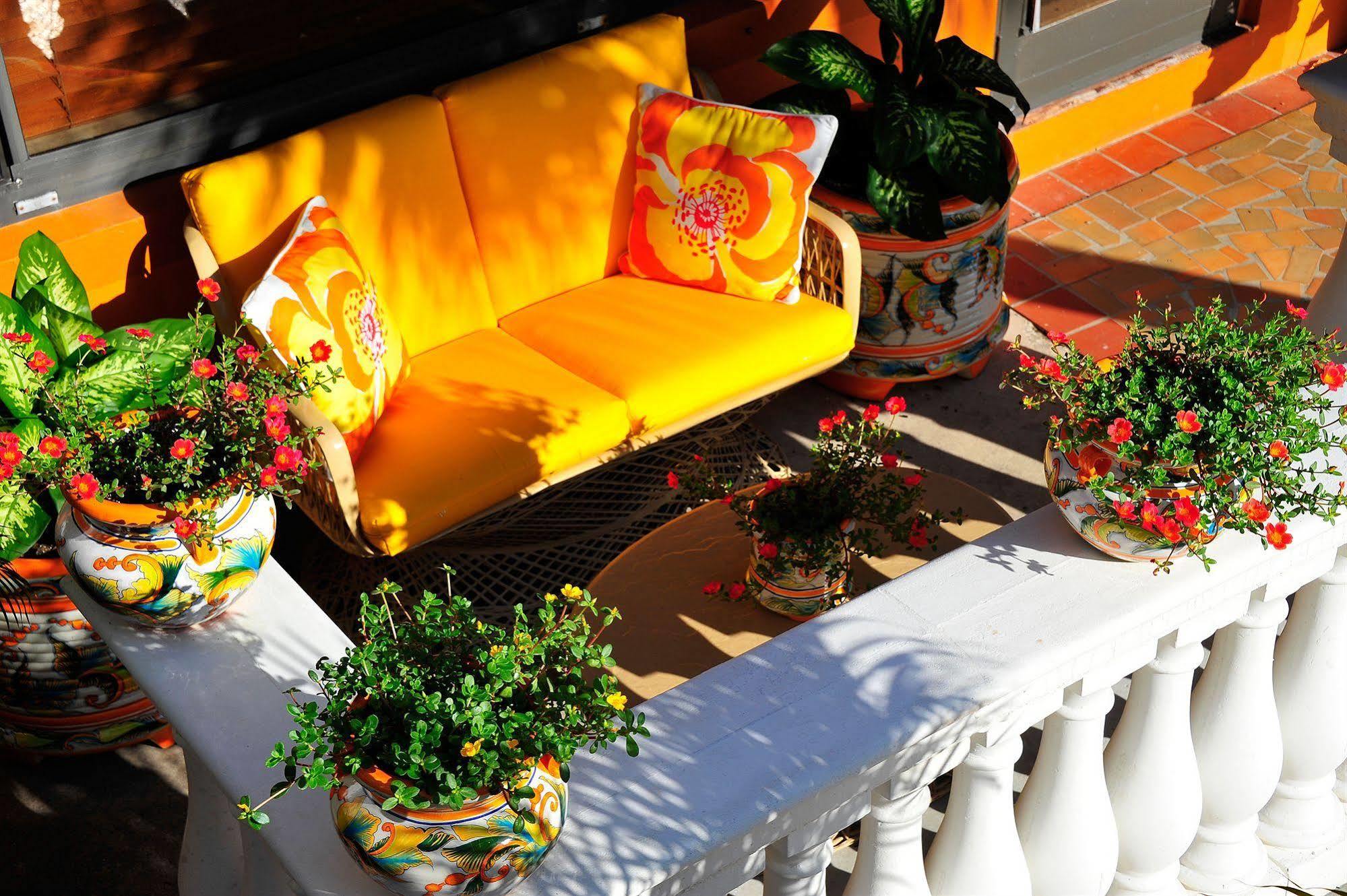 Hotel Blue Seas Courtyard Lauderdale-by-the-Sea Zewnętrze zdjęcie